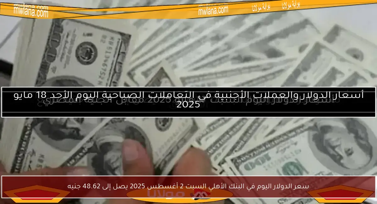 سعر الدولار اليوم في البنك الأهلي السبت 2 أغسطس 2025 يصل إلى 48.62 جنيه