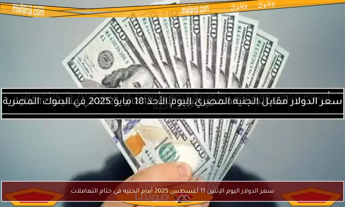 سعر الدولار اليوم الإثنين 11 أغسطس 2025 أمام الجنيه في ختام التعاملات