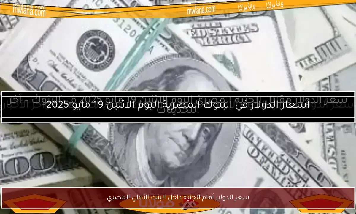 سعر الدولار أمام الجنيه داخل البنك الأهلي المصري