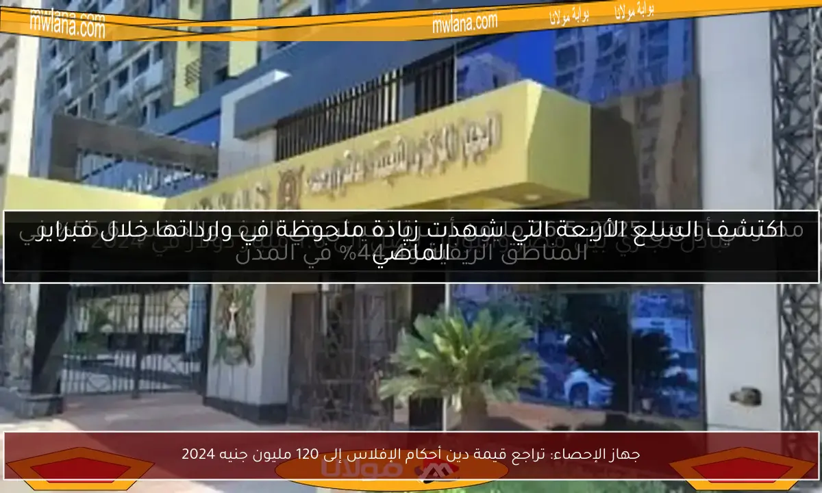 جهاز الإحصاء: تراجع قيمة دين أحكام الإفلاس إلى 120 مليون جنيه 2024