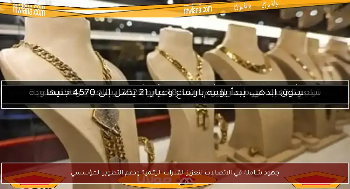 جهود شاملة في الاتصالات لتعزيز القدرات الرقمية ودعم التطوير المؤسسي