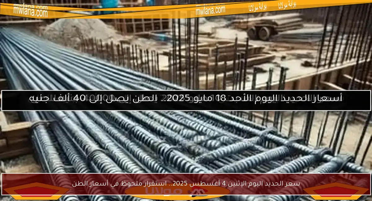 سعر الحديد اليوم الإثنين 4 أغسطس 2025.. استقرار ملحوظ في أسعار الطن