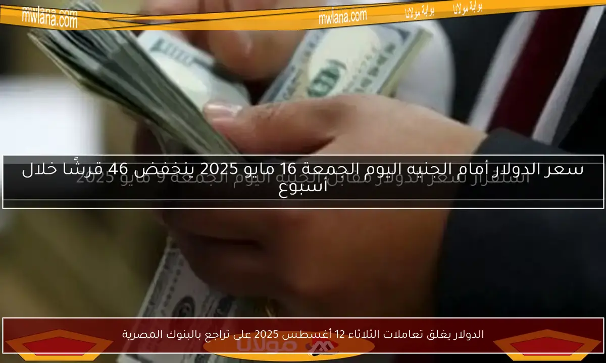 الدولار يغلق تعاملات الثلاثاء 12 أغسطس 2025 على تراجع بالبنوك المصرية