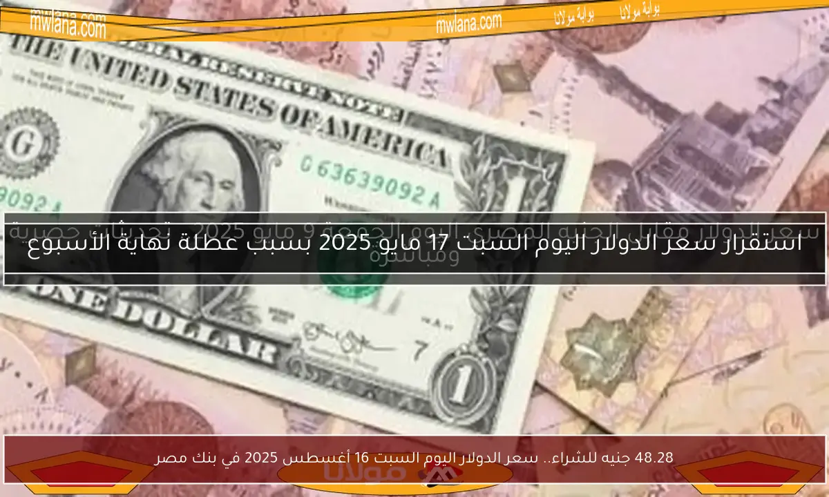 48.28 جنيه للشراء.. سعر الدولار اليوم السبت 16 أغسطس 2025 في بنك مصر