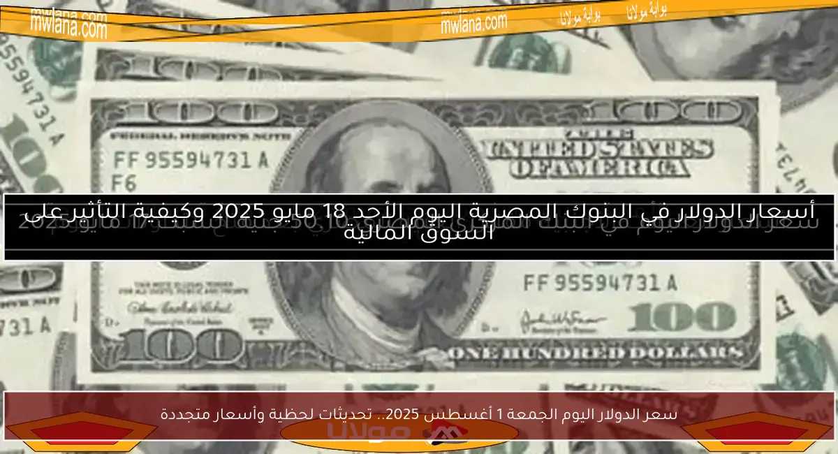 سعر الدولار اليوم الجمعة 1 أغسطس 2025.. تحديثات لحظية وأسعار متجددة