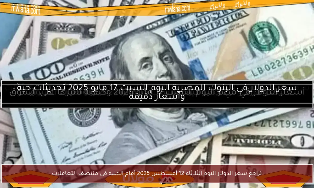 تراجع سعر الدولار اليوم الثلاثاء 12 أغسطس 2025 أمام الجنيه في منتصف التعاملات