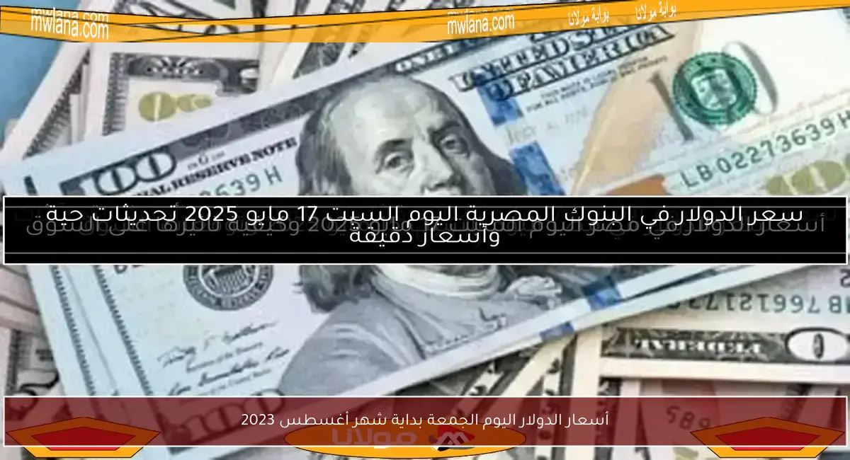 أسعار الدولار اليوم الجمعة بداية شهر أغسطس 2023