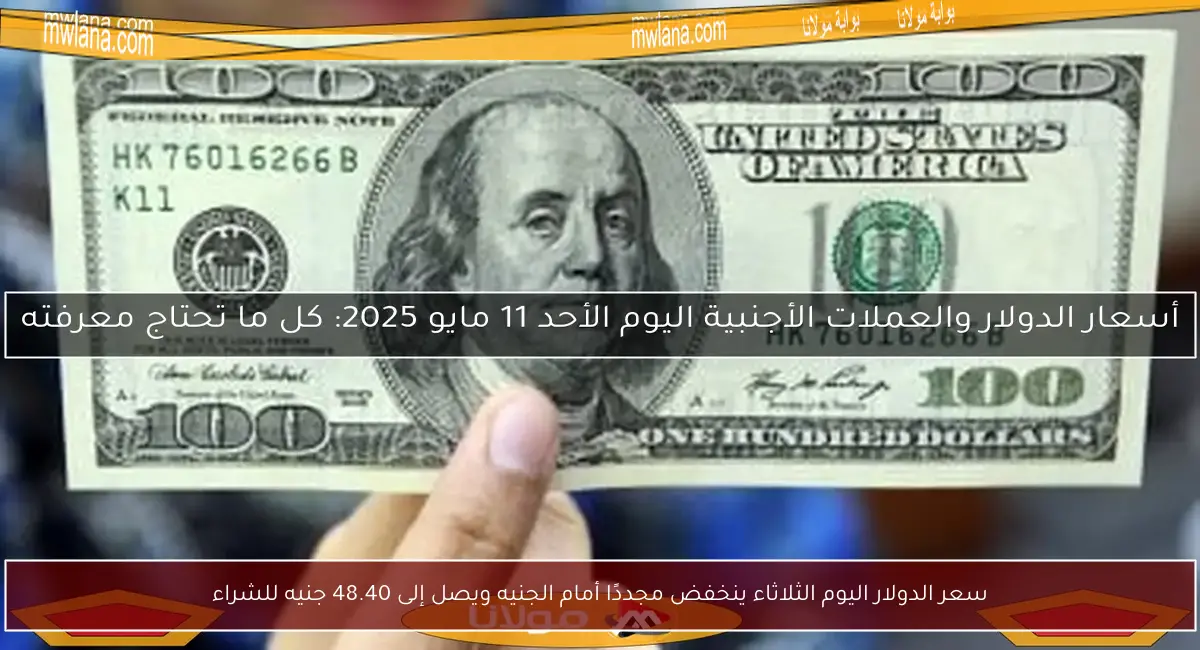 سعر الدولار اليوم الثلاثاء ينخفض مجددًا أمام الجنيه ويصل إلى 48.40 جنيه للشراء