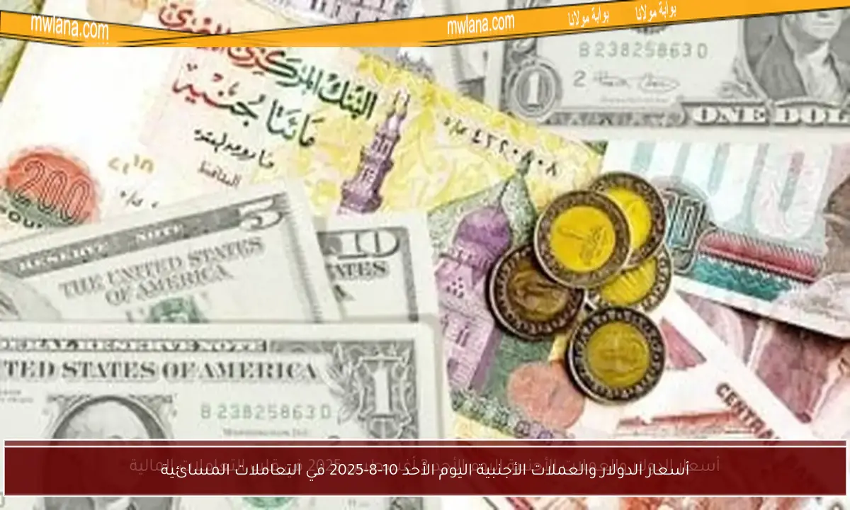 أسعار الدولار والعملات الأجنبية اليوم الأحد 10-8-2025 في التعاملات المسائية