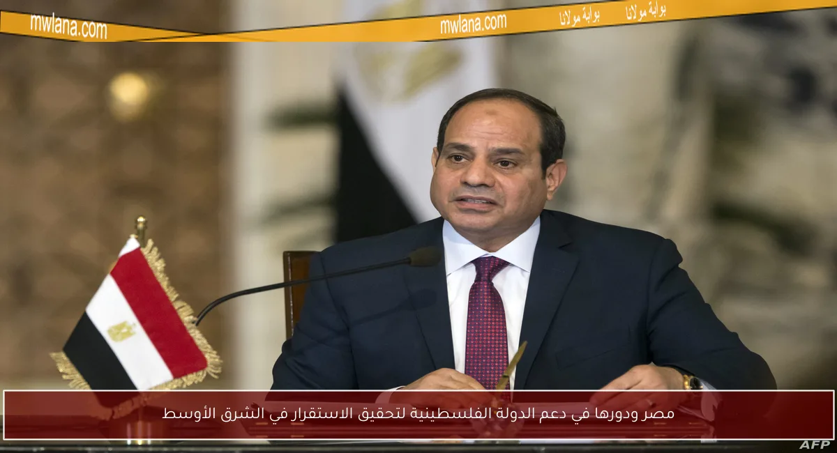 مصر ودورها في دعم الدولة الفلسطينية لتحقيق الاستقرار في الشرق الأوسط