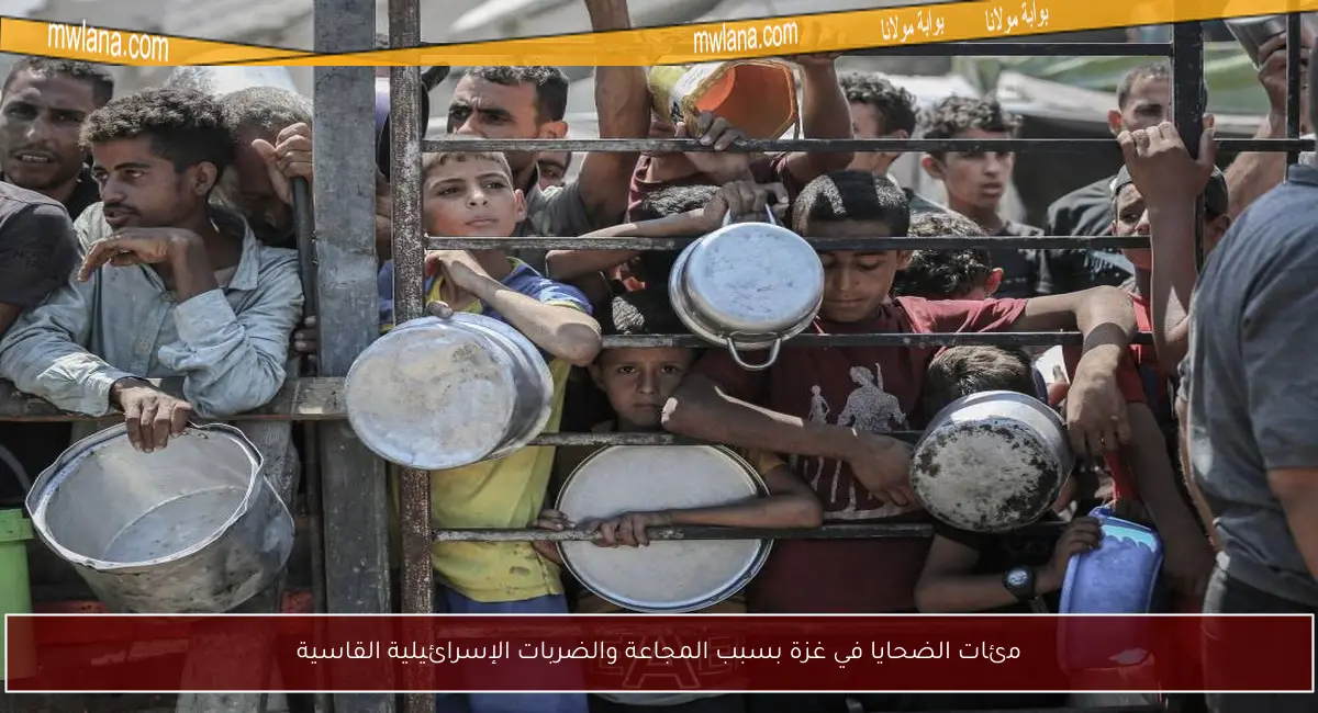 مئات الضحايا في غزة بسبب المجاعة والضربات الإسرائيلية القاسية