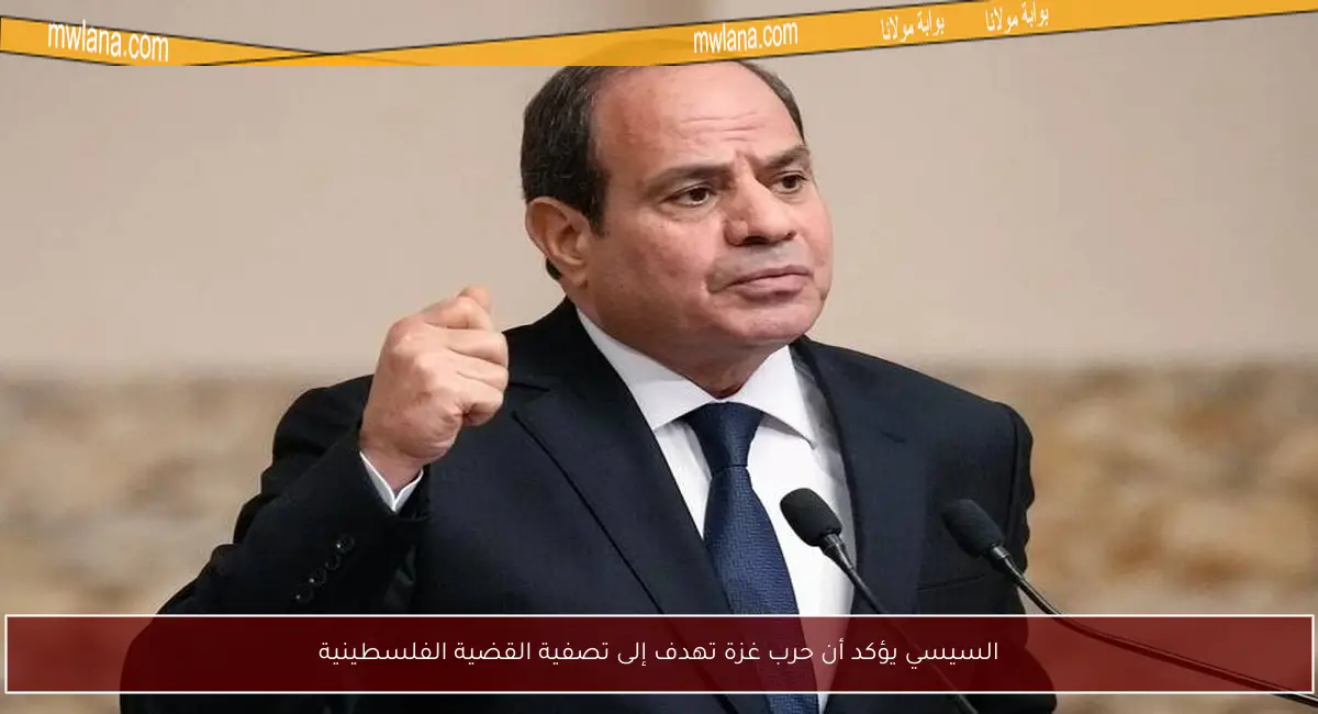 السيسي يؤكد أن حرب غزة تهدف إلى تصفية القضية الفلسطينية