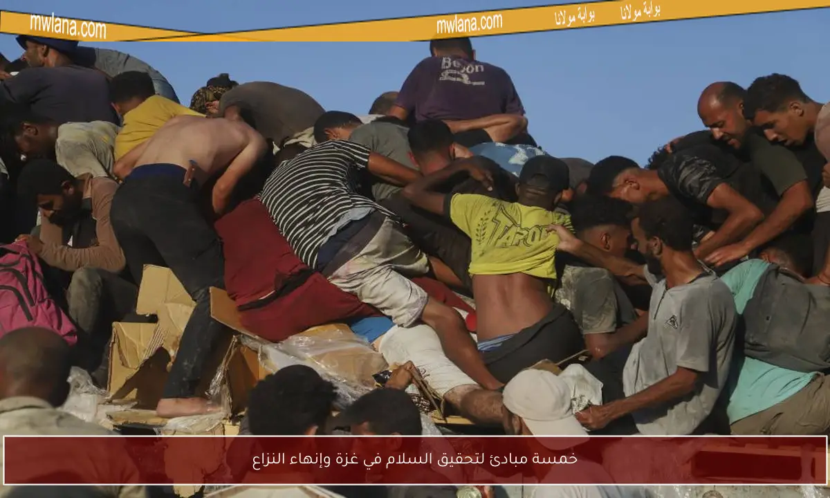 خمسة مبادئ لتحقيق السلام في غزة وإنهاء النزاع