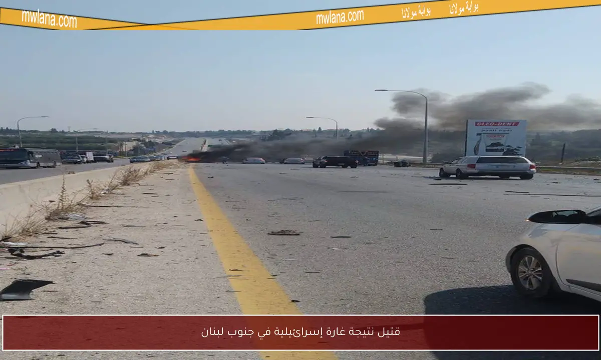قتيل نتيجة غارة إسرائيلية في جنوب لبنان