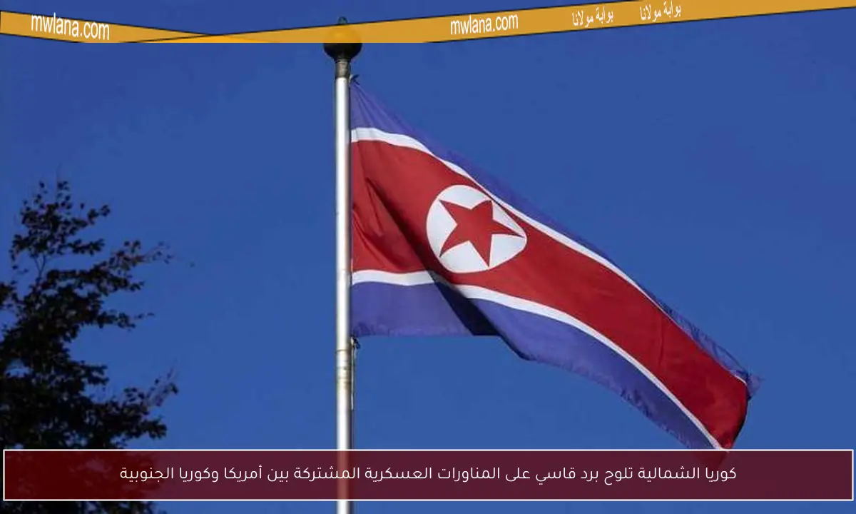 كوريا الشمالية تلوح برد قاسي على المناورات العسكرية المشتركة بين أمريكا وكوريا الجنوبية