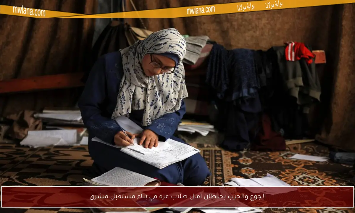 الجوع والحرب يحبطان آمال طلاب غزة في بناء مستقبل مشرق