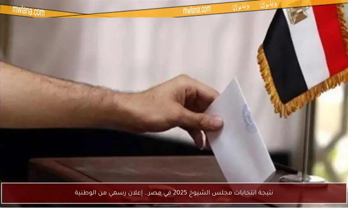 نتيجة انتخابات مجلس الشيوخ 2025 في مصر.. إعلان رسمي من الوطنية