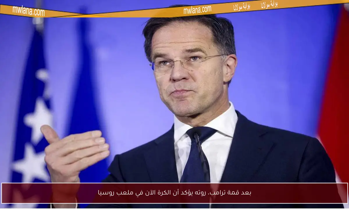 بعد قمة ترامب، روته يؤكد أن الكرة الآن في ملعب روسيا