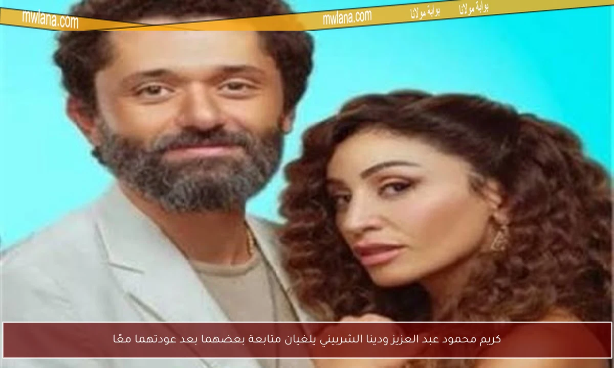 كريم محمود عبد العزيز ودينا الشربيني يلغيان متابعة بعضهما بعد عودتهما معًا