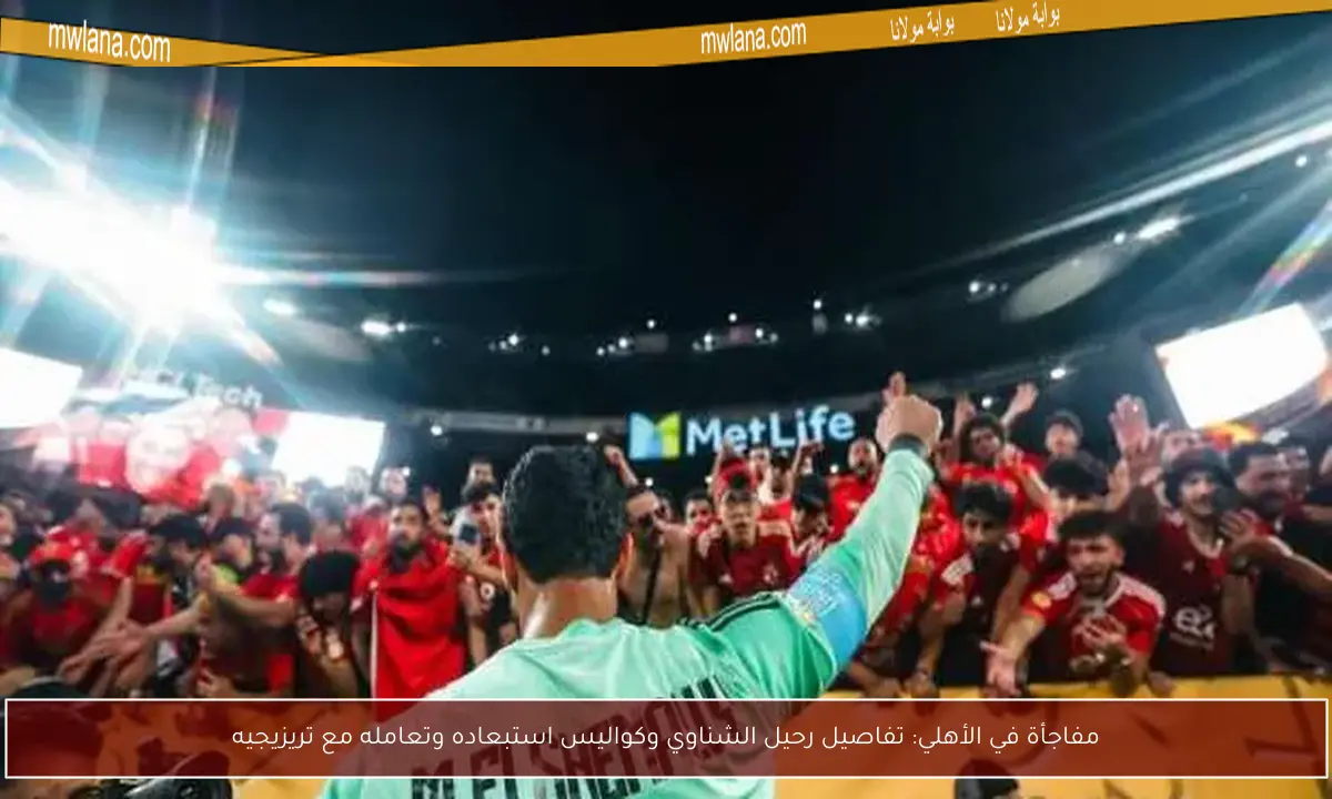 مفاجأة في الأهلي: تفاصيل رحيل الشناوي وكواليس استبعاده وتعامله مع تريزيجيه