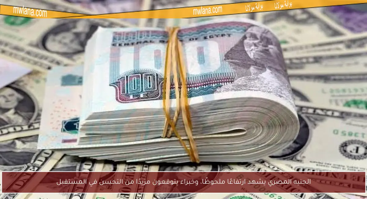 الجنيه المصري يشهد ارتفاعًا ملحوظًا، وخبراء يتوقعون مزيدًا من التحسن في المستقبل