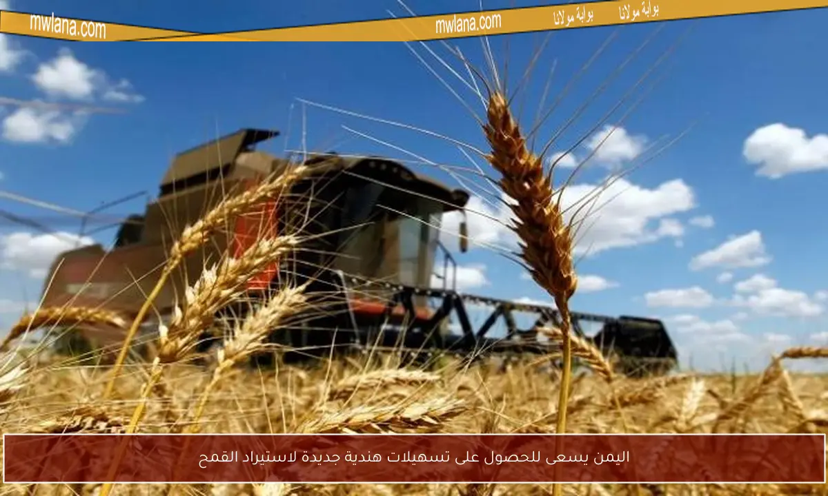 اليمن يسعى للحصول على تسهيلات هندية جديدة لاستيراد القمح
