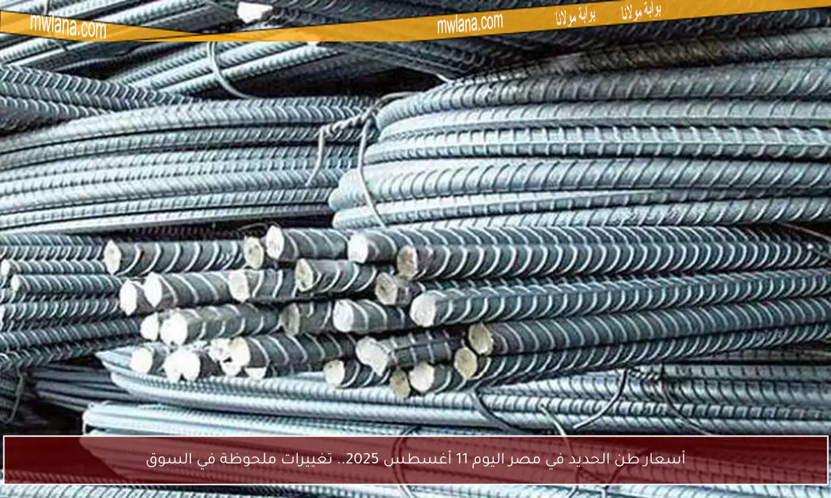 أسعار طن الحديد في مصر اليوم 11 أغسطس 2025.. تغييرات ملحوظة في السوق