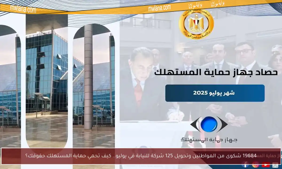 19684 شكوى من المواطنين وتحويل 125 شركة للنيابة في يوليو.. كيف تحمي حماية المستهلك حقوقك؟