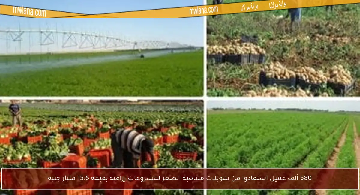 680 ألف عميل استفادوا من تمويلات متناهية الصغر لمشروعات زراعية بقيمة 15.5 مليار جنيه