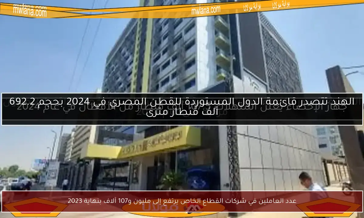 عدد العاملين في شركات القطاع الخاص يرتفع إلى مليون و107 آلاف بنهاية 2023