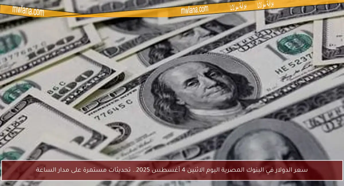 سعر الدولار في البنوك المصرية اليوم الاثنين 4 أغسطس 2025.. تحديثات مستمرة على مدار الساعة