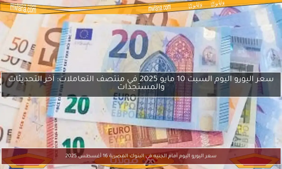 سعر اليورو اليوم أمام الجنيه في البنوك المصرية 16 أغسطس 2025