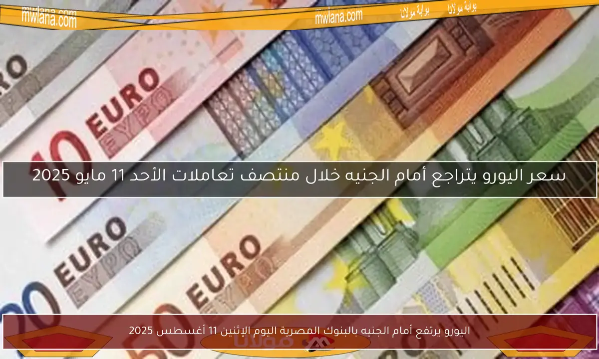 اليورو يرتفع أمام الجنيه بالبنوك المصرية اليوم الإثنين 11 أغسطس 2025