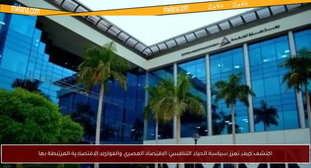 اكتشف كيف تعزز سياسة الحياد التنافسي الاقتصاد المصري والفوائد الاقتصادية المرتبطة بها