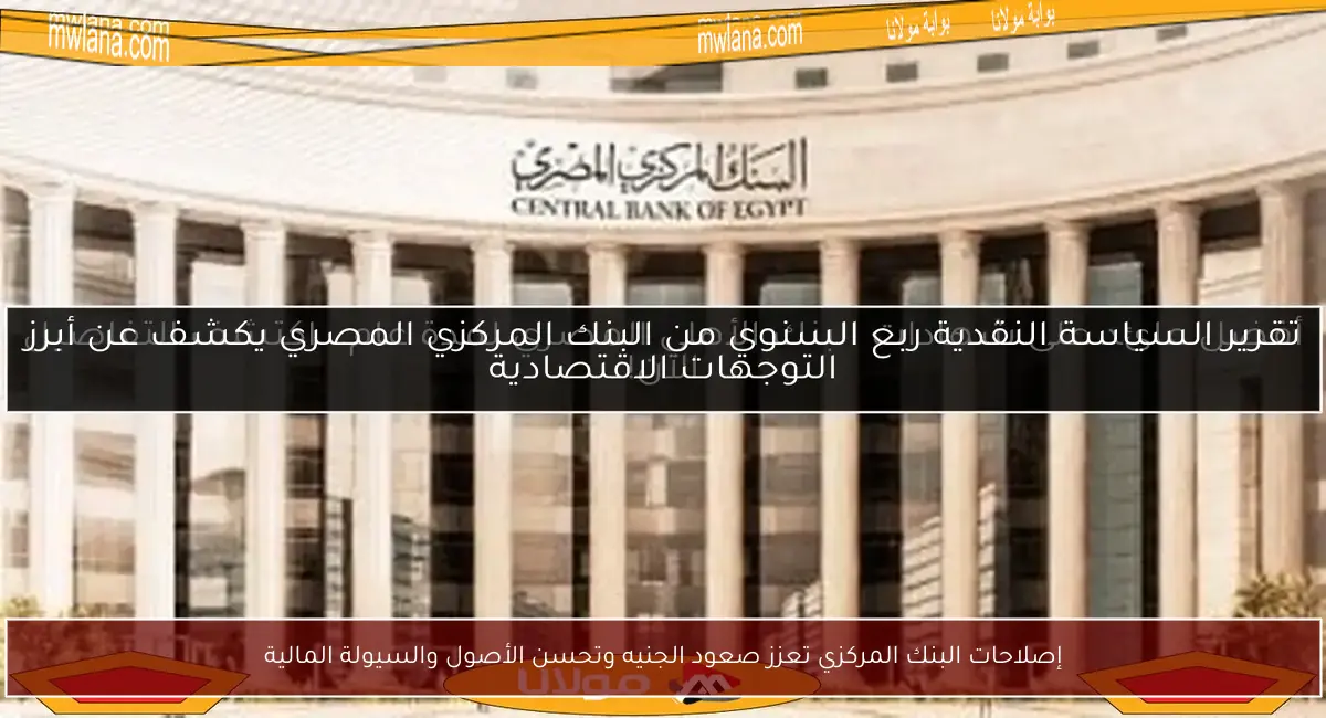 إصلاحات البنك المركزي تعزز صعود الجنيه وتحسن الأصول والسيولة المالية