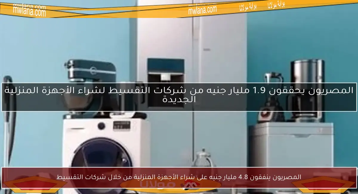 المصريون ينفقون 4.8 مليار جنيه على شراء الأجهزة المنزلية من خلال شركات التقسيط