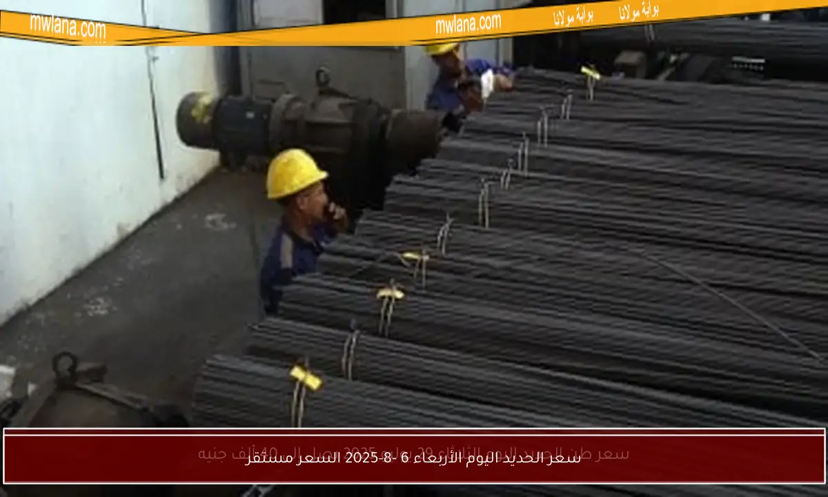 سعر الحديد اليوم الأربعاء 6 -8-2025 السعر مستقر
