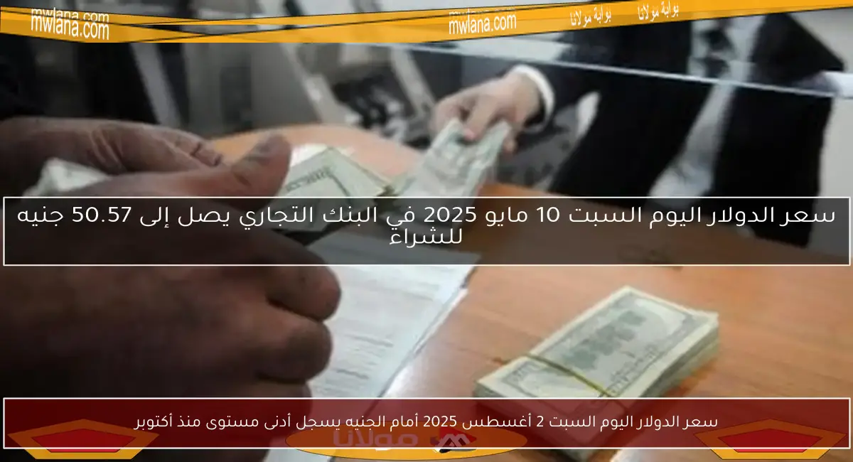 سعر الدولار اليوم السبت 2 أغسطس 2025 أمام الجنيه يسجل أدنى مستوى منذ أكتوبر