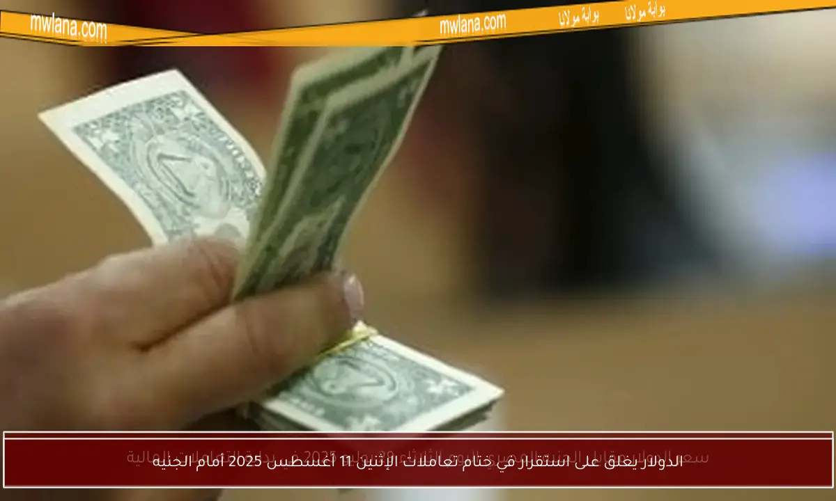 الدولار يغلق على استقرار في ختام تعاملات الإثنين 11 أغسطس 2025 أمام الجنيه