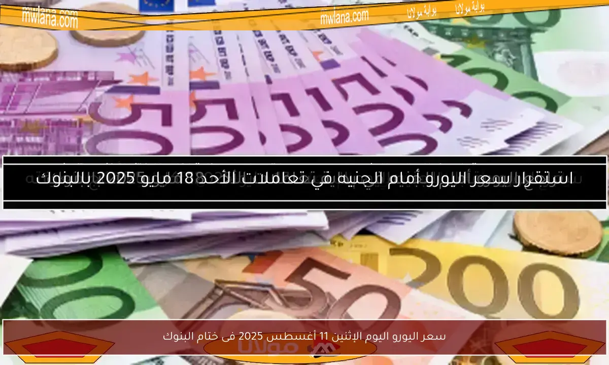 سعر اليورو اليوم الإثنين 11 أغسطس 2025 فى ختام البنوك