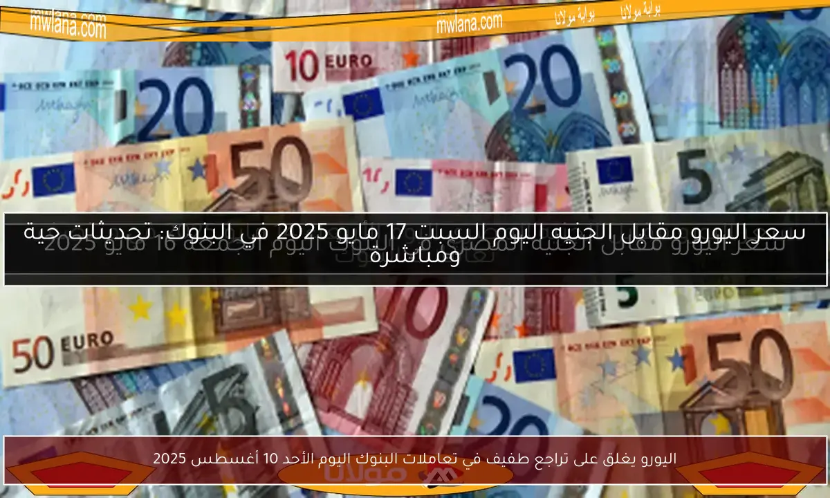 اليورو يغلق على تراجع طفيف في تعاملات البنوك اليوم الأحد 10 أغسطس 2025