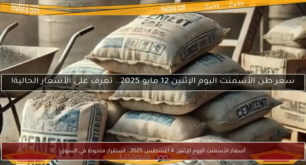 أسعار الأسمنت اليوم الإثنين 4 أغسطس 2025.. استقرار ملحوظ في السوق