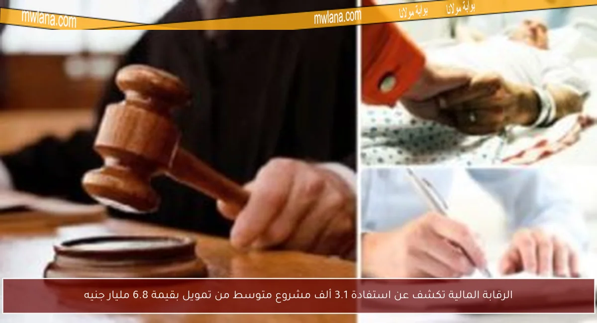 الرقابة المالية تكشف عن استفادة 3.1 ألف مشروع متوسط من تمويل بقيمة 6.8 مليار جنيه