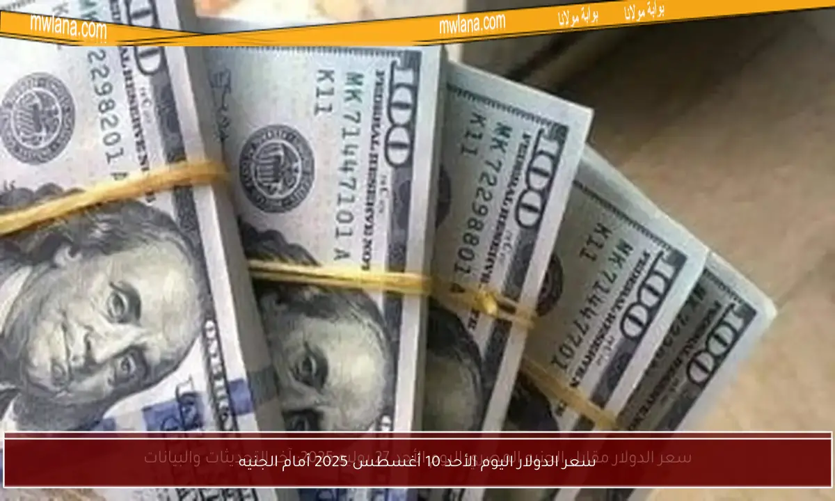 سعر الدولار اليوم الأحد 10 أغسطس 2025 أمام الجنيه