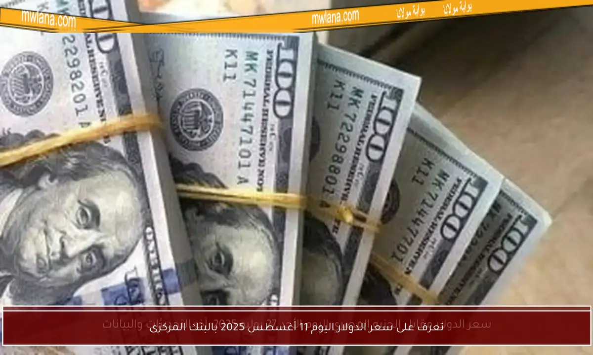 تعرف على سعر الدولار اليوم 11 أغسطس 2025 بالبنك المركزى