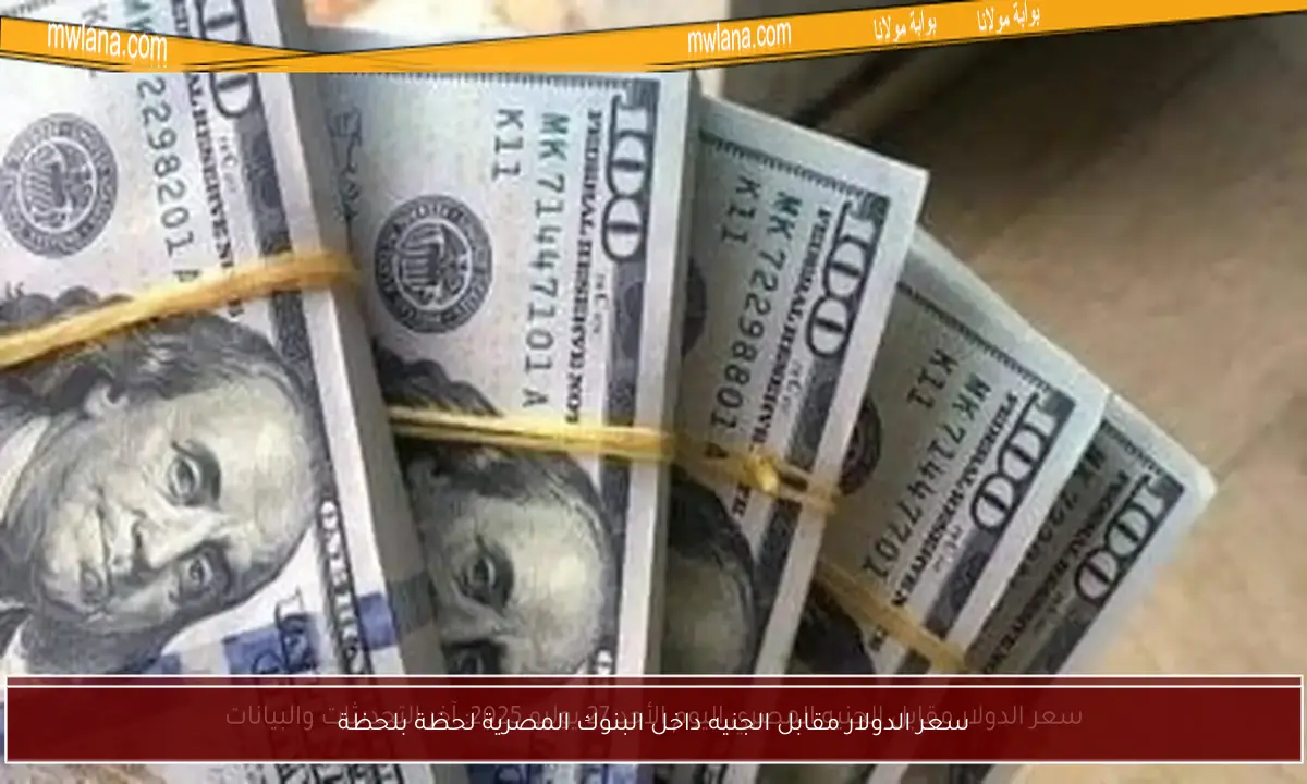 سعر الدولار مقابل الجنيه داخل البنوك المصرية لحظة بلحظة