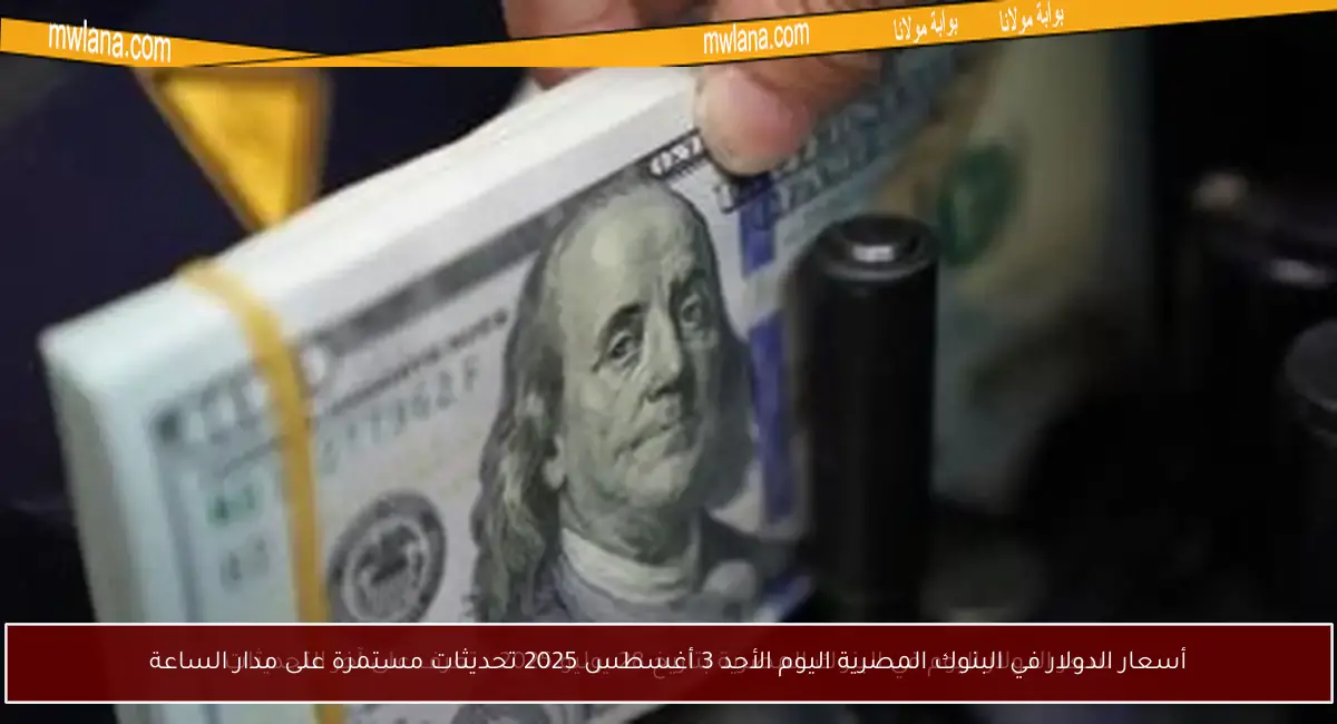 أسعار الدولار في البنوك المصرية اليوم الأحد 3 أغسطس 2025 تحديثات مستمرة على مدار الساعة