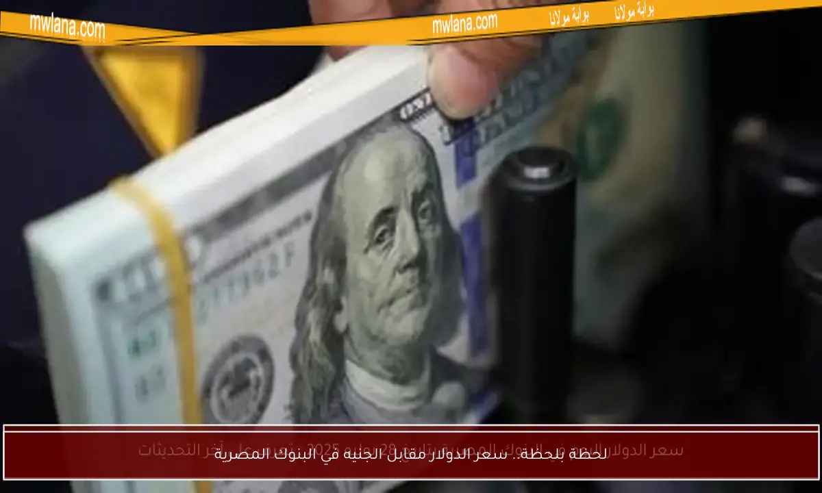 لحظة بلحظة.. سعر الدولار مقابل الجنيه في البنوك المصرية