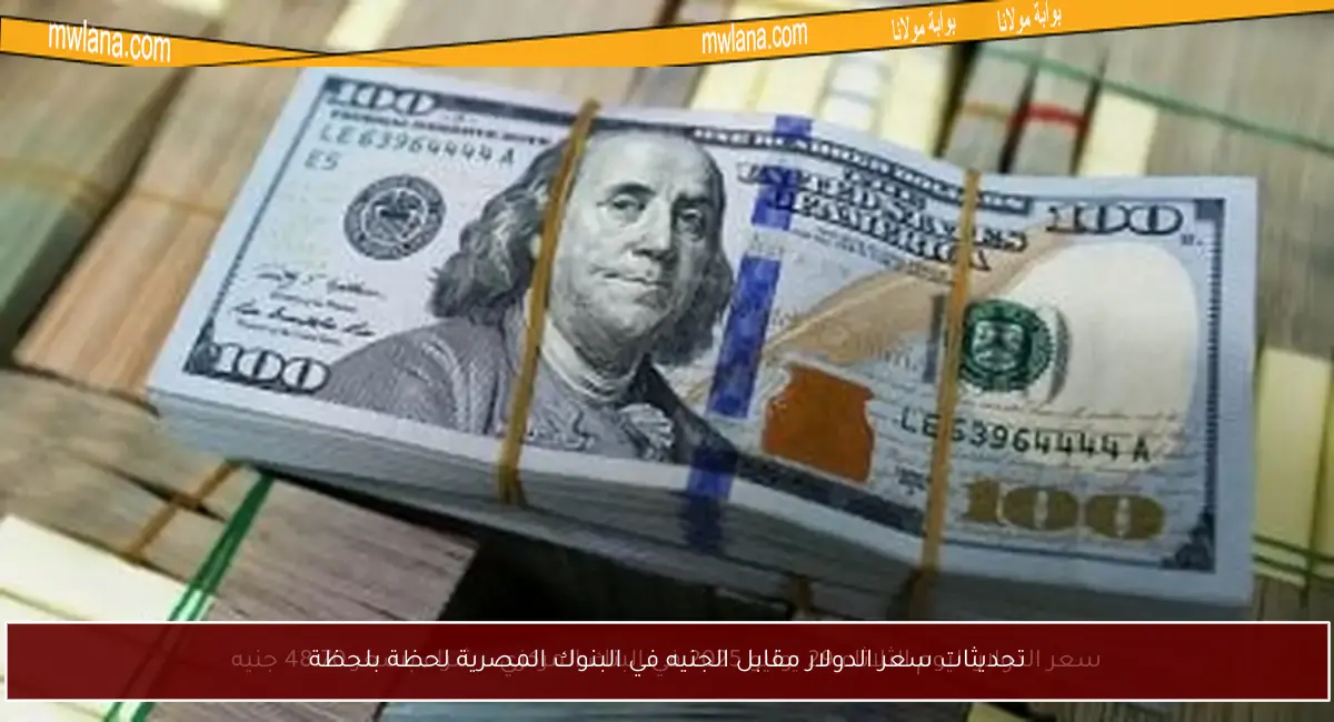 تحديثات سعر الدولار مقابل الجنيه في البنوك المصرية لحظة بلحظة