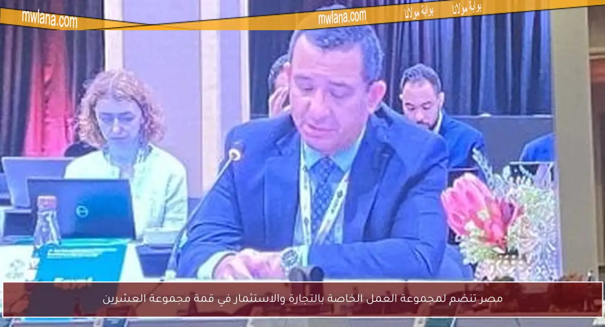 مصر تنضم لمجموعة العمل الخاصة بالتجارة والاستثمار في قمة مجموعة العشرين